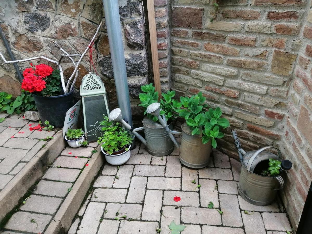 Mives Vendeghaz Hotel Pogany Bagian luar foto