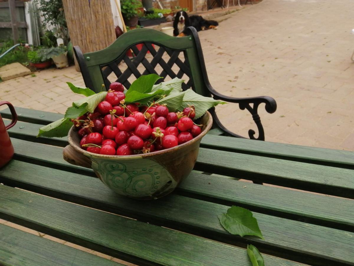 Mives Vendeghaz Hotel Pogany Bagian luar foto