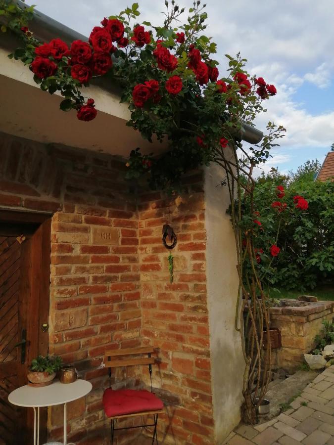 Mives Vendeghaz Hotel Pogany Bagian luar foto