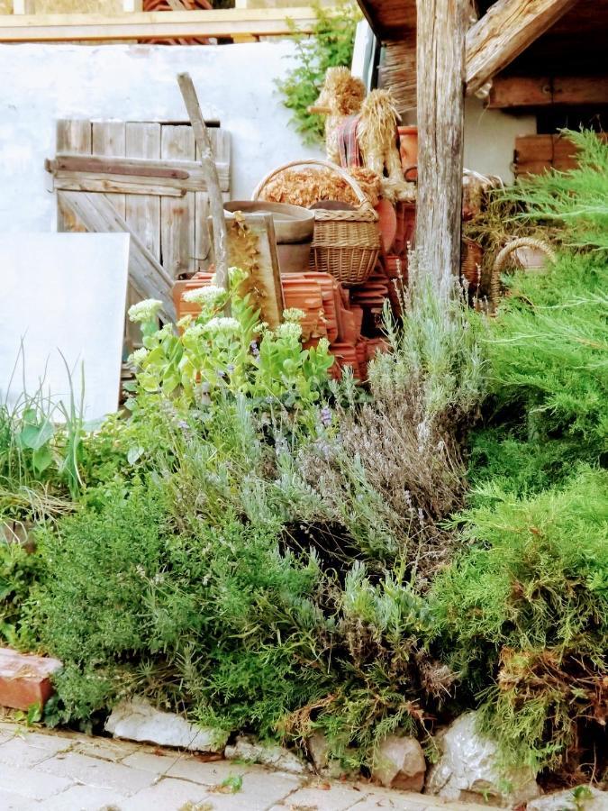 Mives Vendeghaz Hotel Pogany Bagian luar foto
