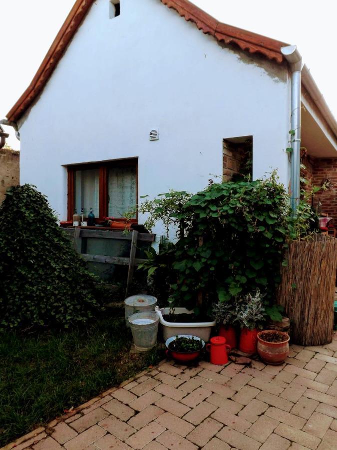 Mives Vendeghaz Hotel Pogany Bagian luar foto