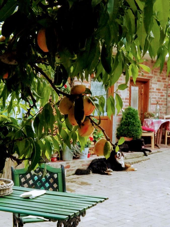 Mives Vendeghaz Hotel Pogany Bagian luar foto